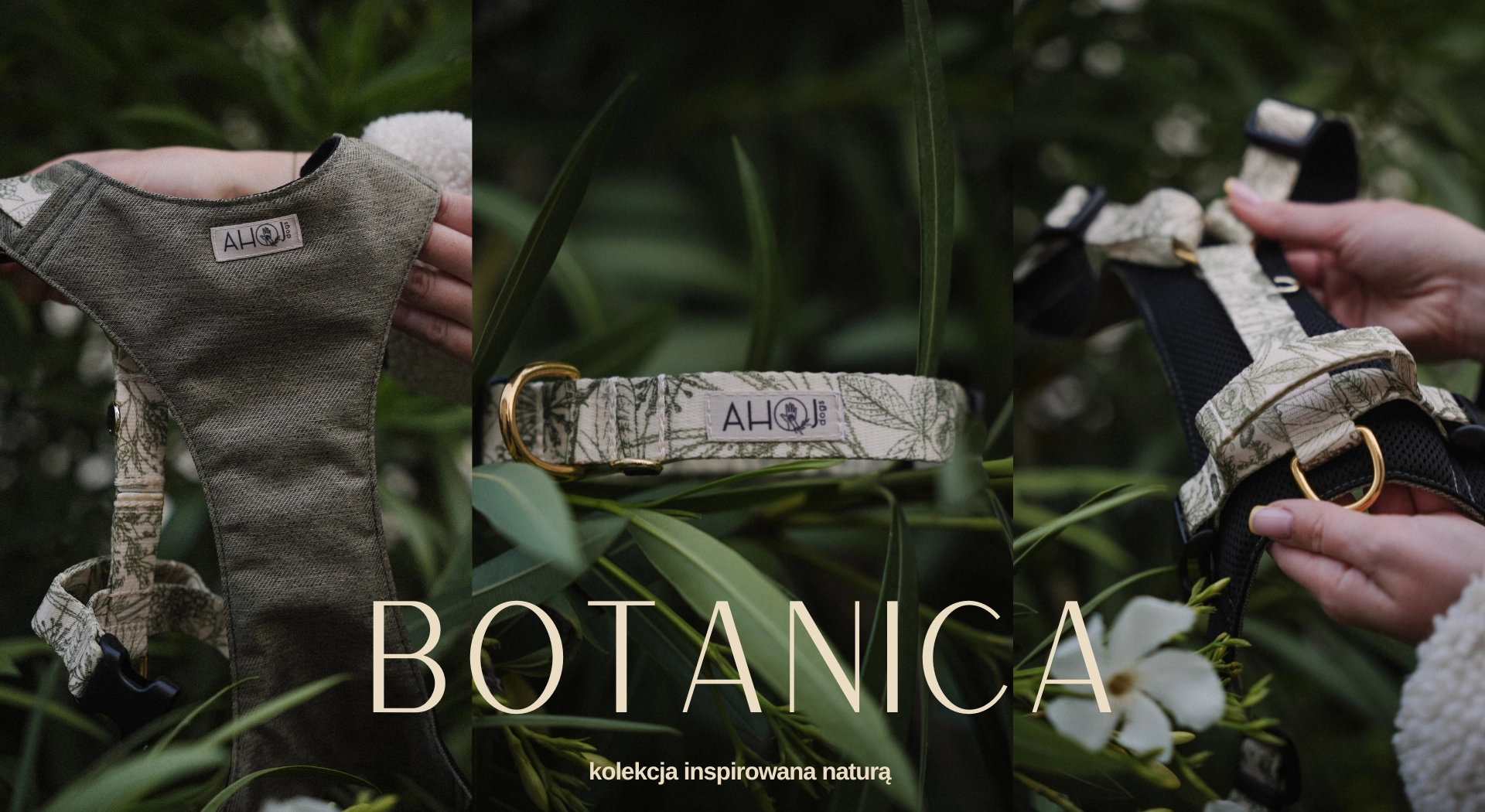 ahojdogs - BOTANICA